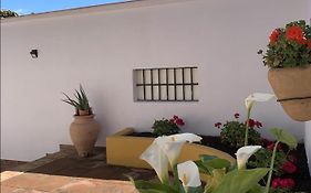 Encantador Apartamento-Centrico-Con Amplio Jardin